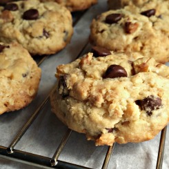 Chocolate-chip cookie2